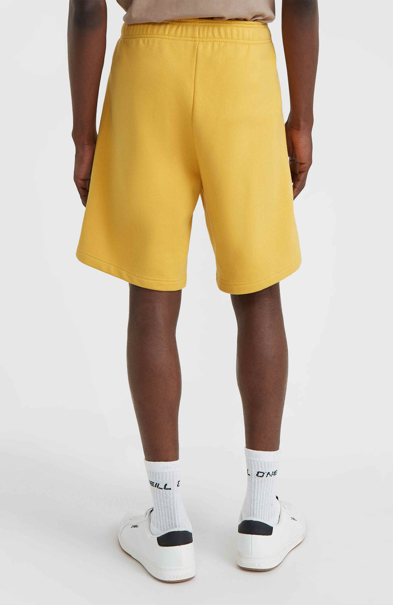 Oneill Men Future Surf Society Shorts | Yellow
