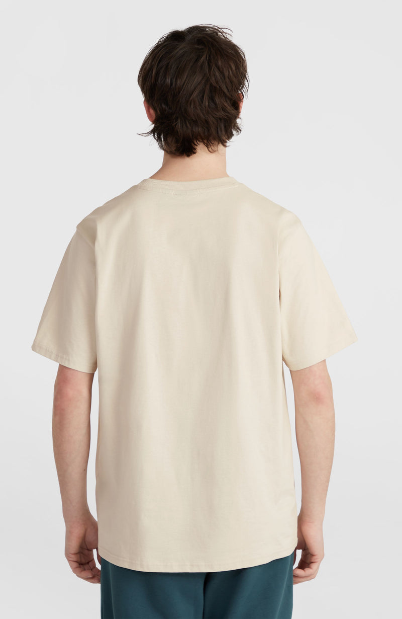 Oneill Men Future Surf Society T-Shirt | Beige