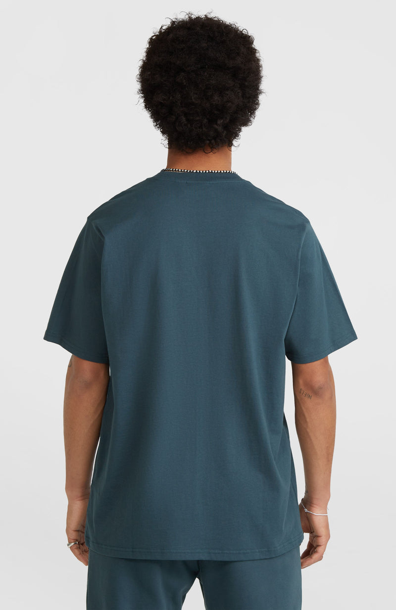 Oneill Men Future Surf Society T-Shirt | Blue