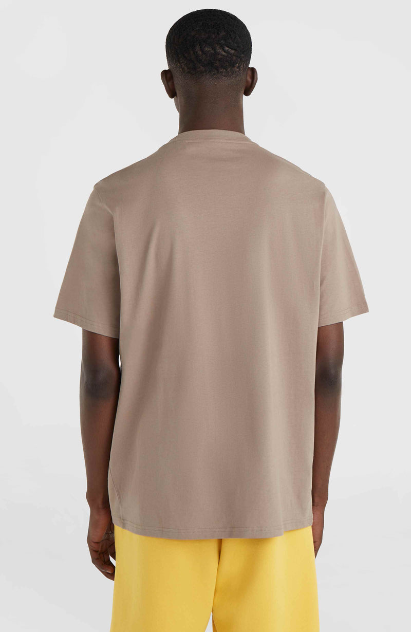 Oneill Men Future Surf Society T-Shirt | Brown