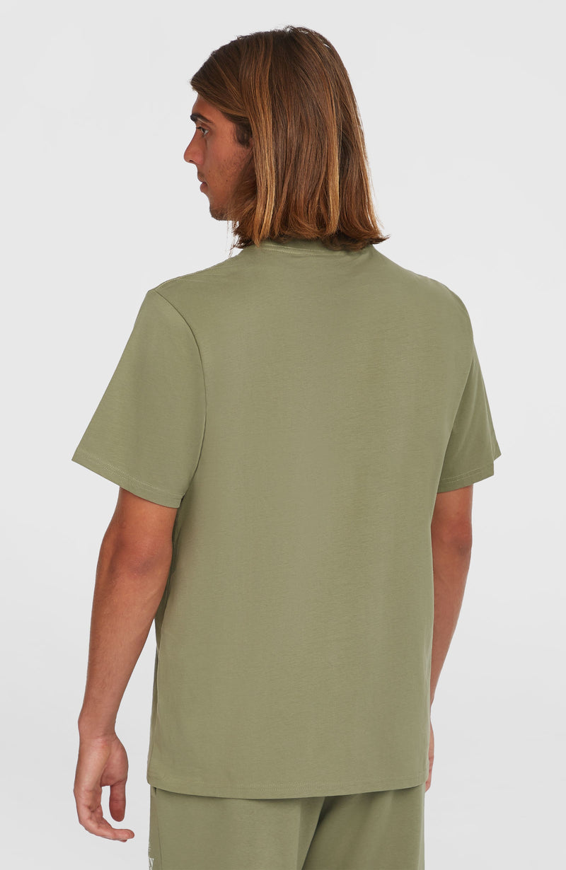 Oneill Men Future Surf Society T-Shirt | Green