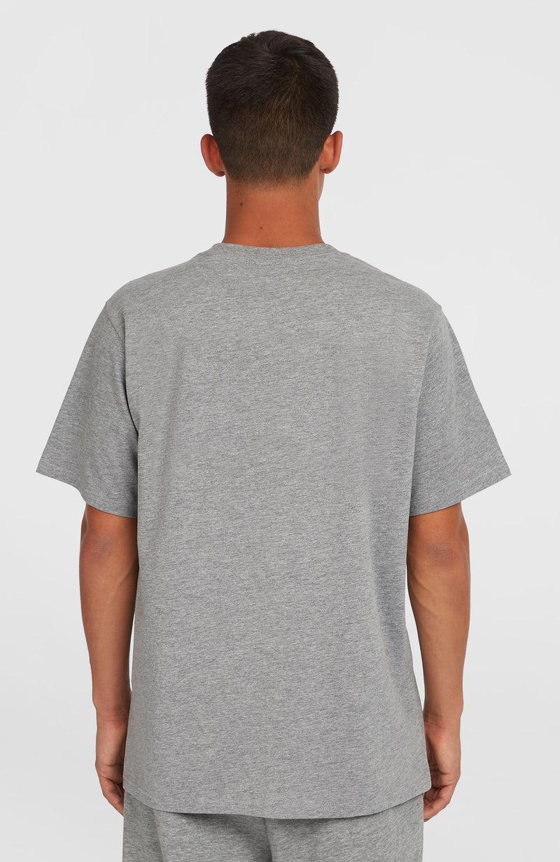 Oneill Men Future Surf Society T-Shirt | Grey