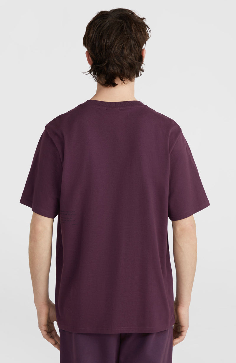 Oneill Men Future Surf Society T-Shirt | Purple