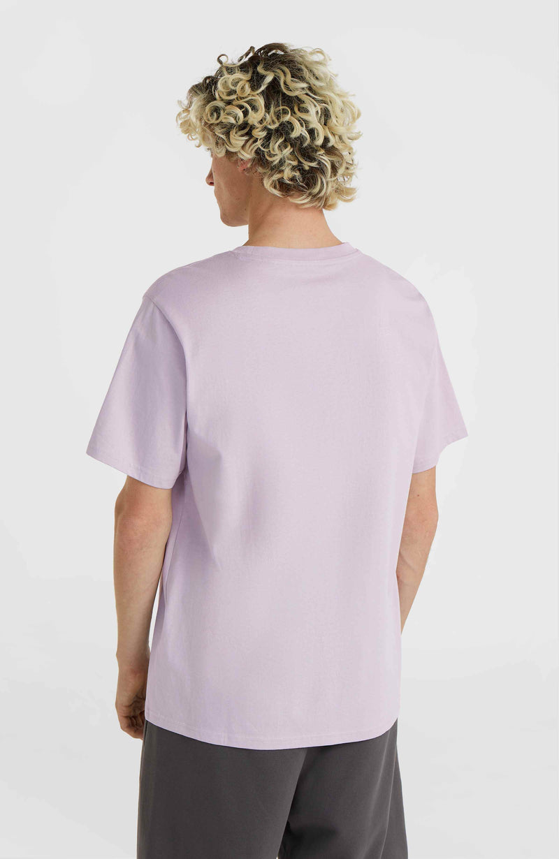 Oneill Men Future Surf Society T-Shirt | Purple