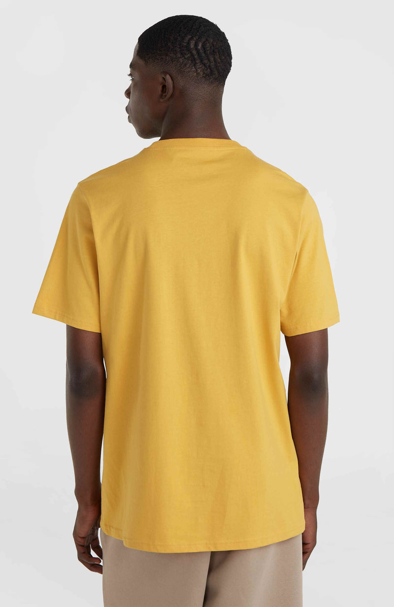 Oneill Men Future Surf Society T-Shirt | Yellow