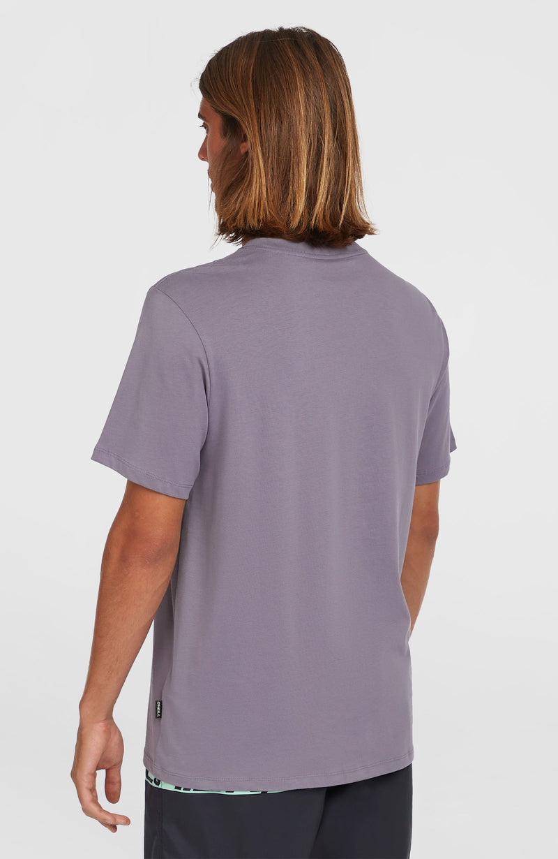 Oneill Men Gradient T-Shirt | Purple