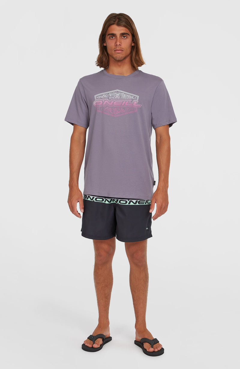 Oneill Men Gradient T-Shirt | Purple