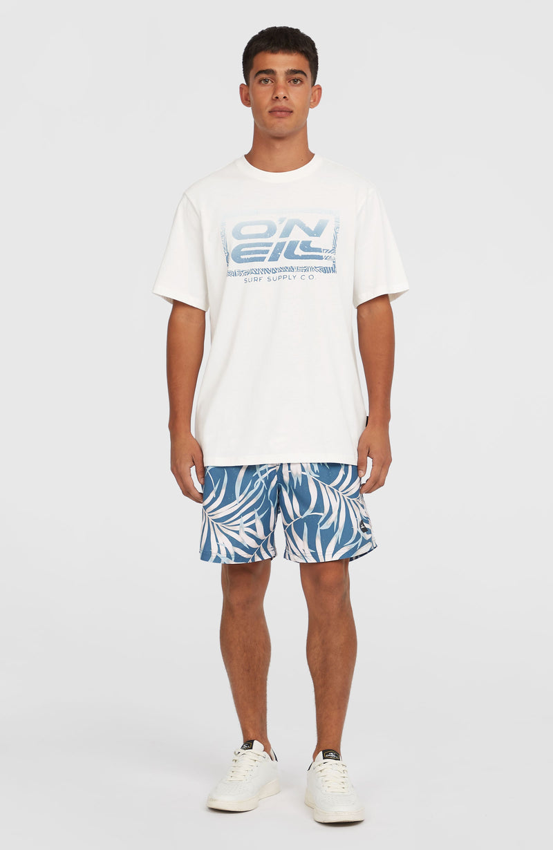 Oneill Men Gradient T-Shirt | White