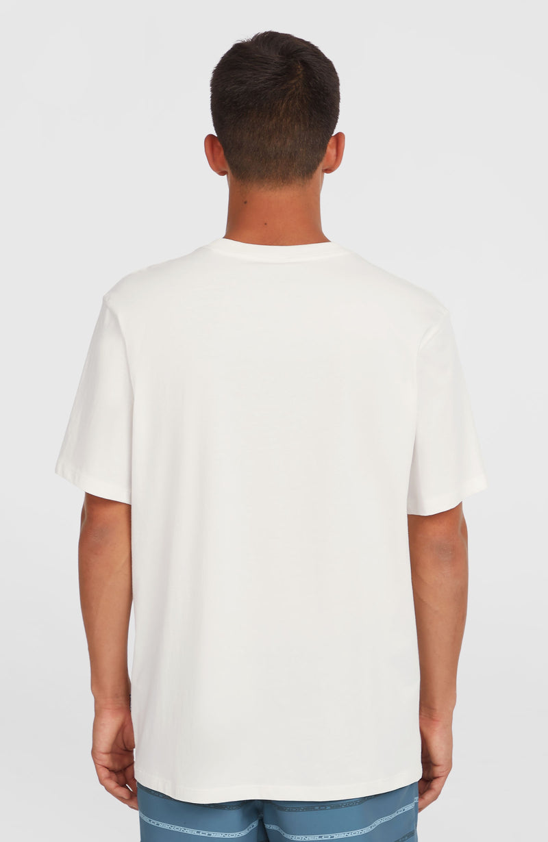 Oneill Men Gradient T-Shirt | White