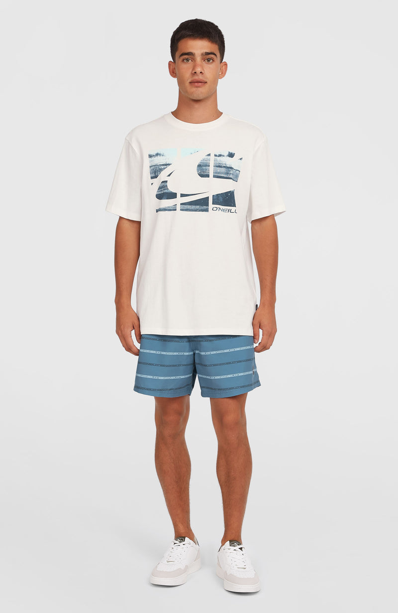 Oneill Men Gradient T-Shirt | White