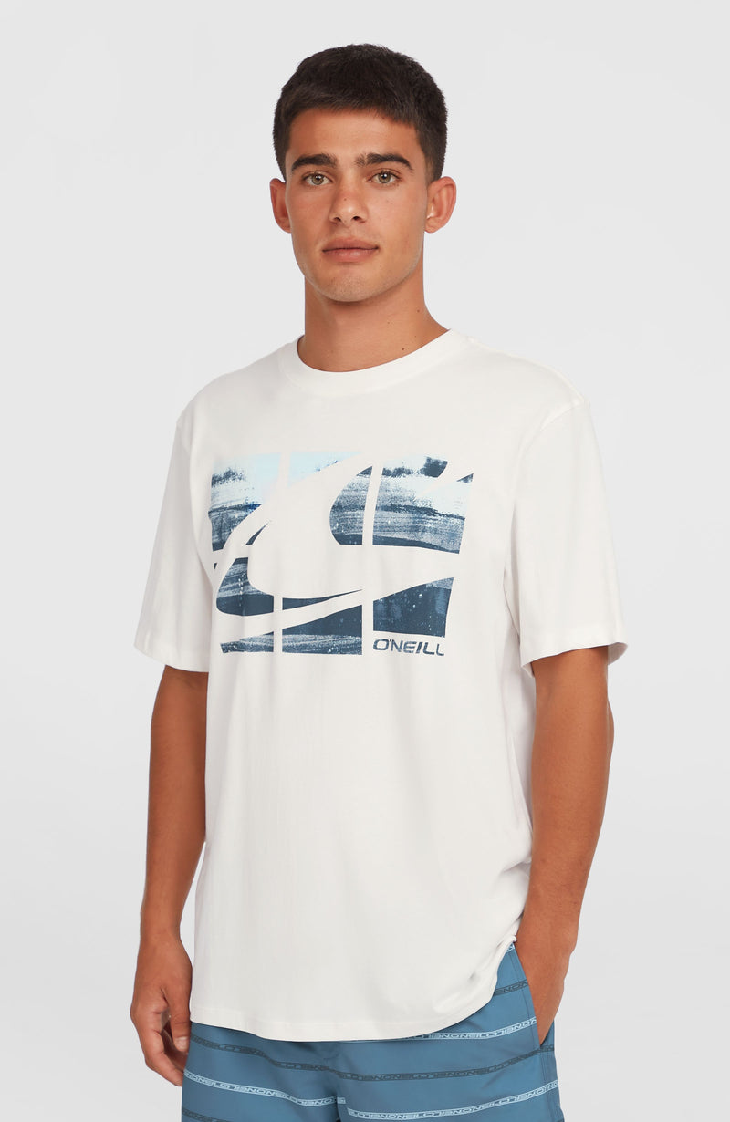 oneill Men Gradient T-Shirt | White