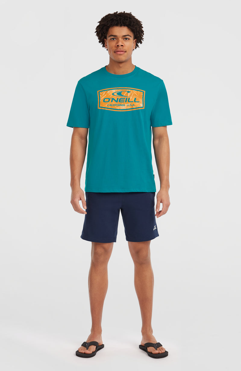 Oneill Men Graphic T-Shirt | Blue