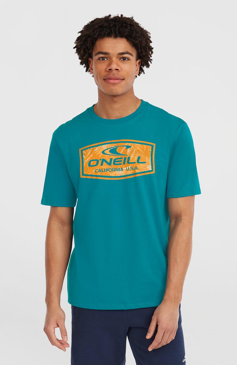 oneill Men Graphic T-Shirt | Blue