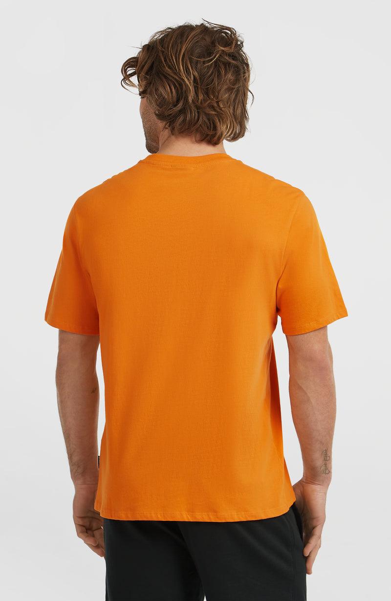 Oneill Men Graphic T-Shirt | Orange