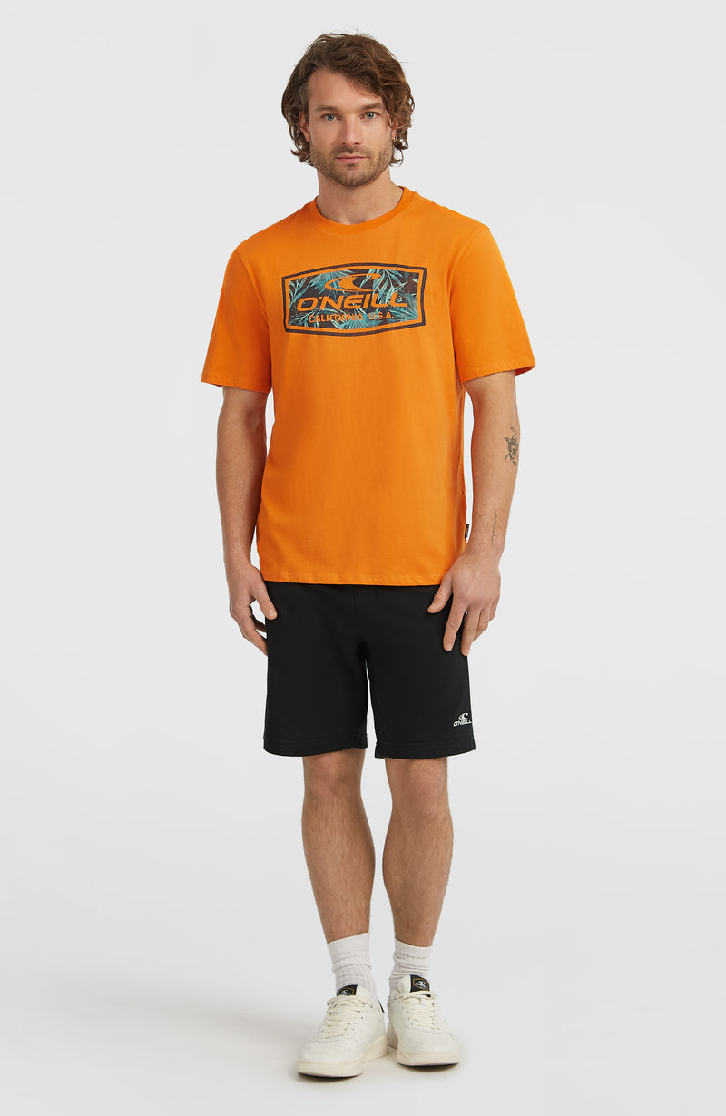 Oneill Men Graphic T-Shirt | Orange