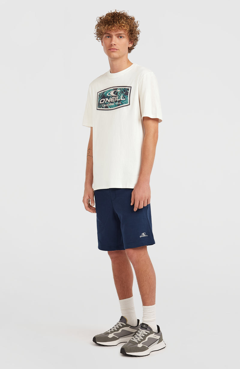 Oneill Men Graphic T-Shirt | White