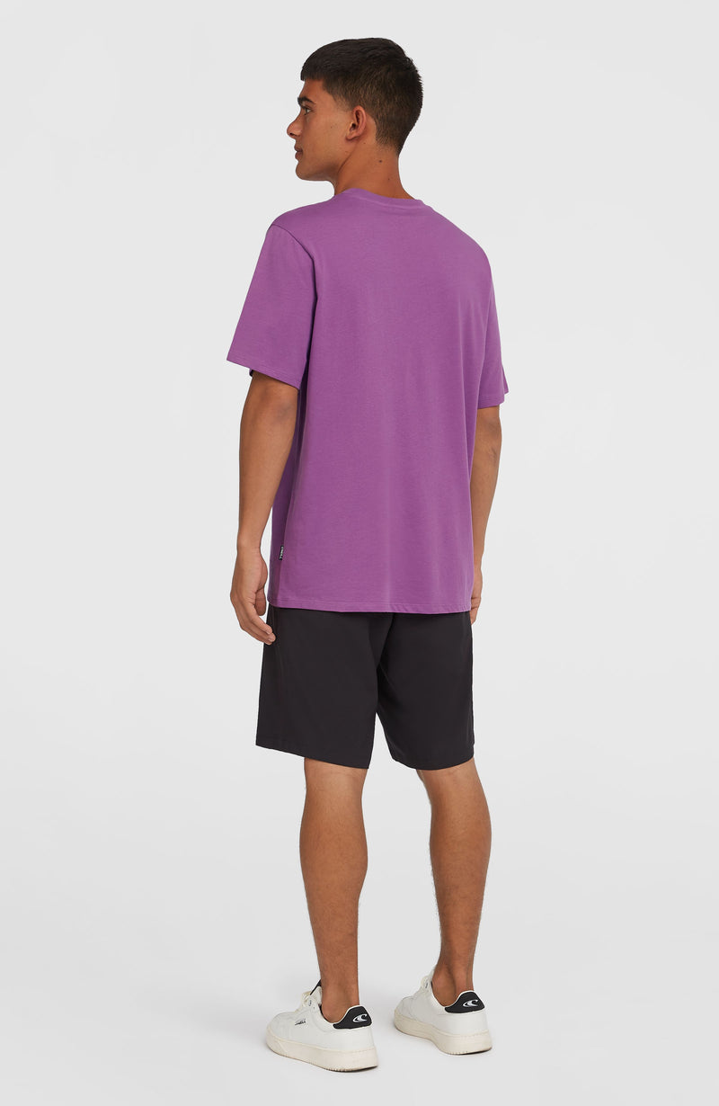 Oneill Men Hybrid Chino 19" Shorts | Black