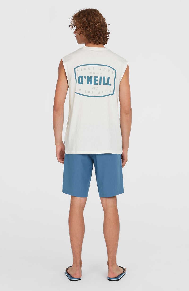 Oneill Men Hybrid Chino 19" Shorts | Blue