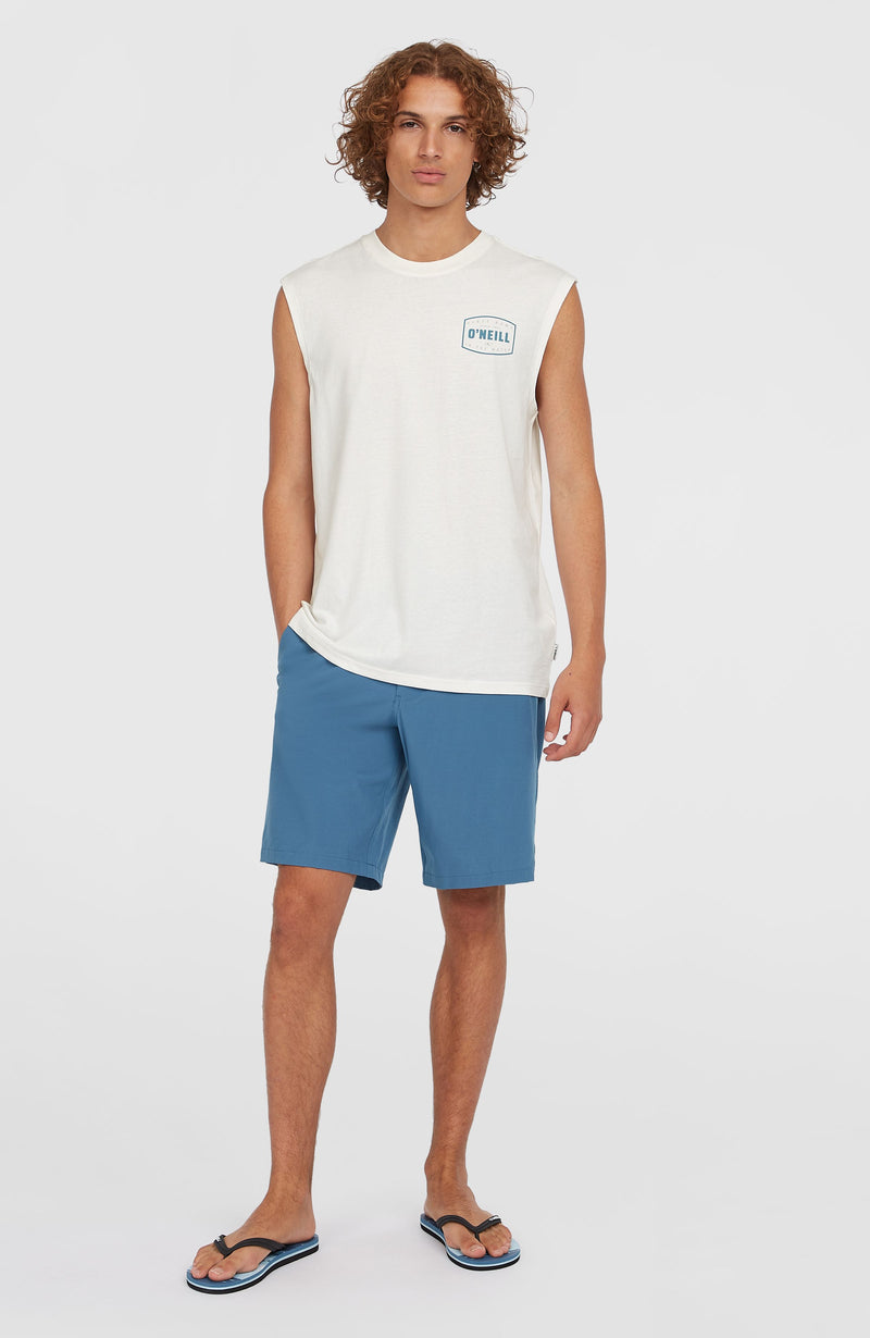 oneill Men Hybrid Chino 19" Shorts | Blue