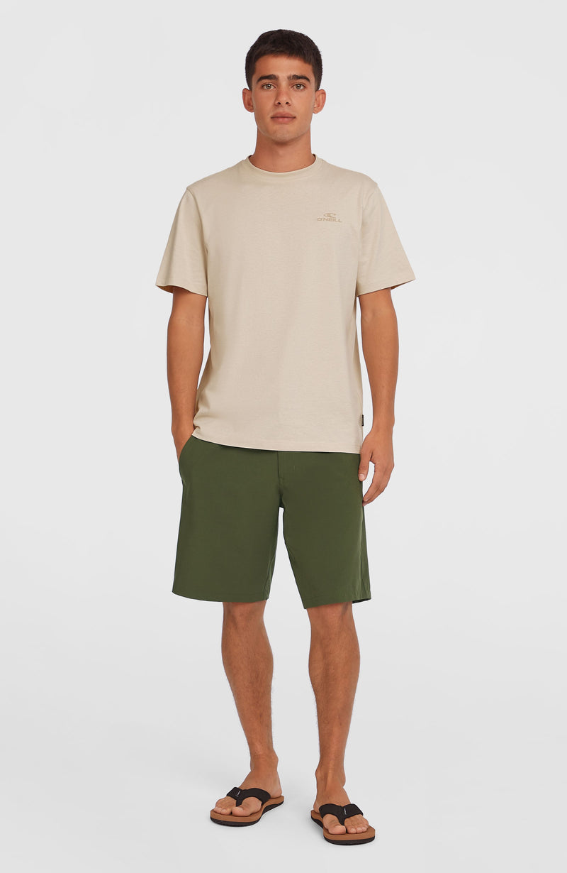oneill Men Hybrid Chino 19" Shorts | Green