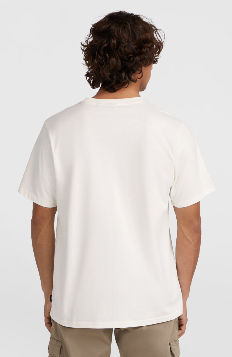 Oneill Men Ikat Graphic T-Shirt | White