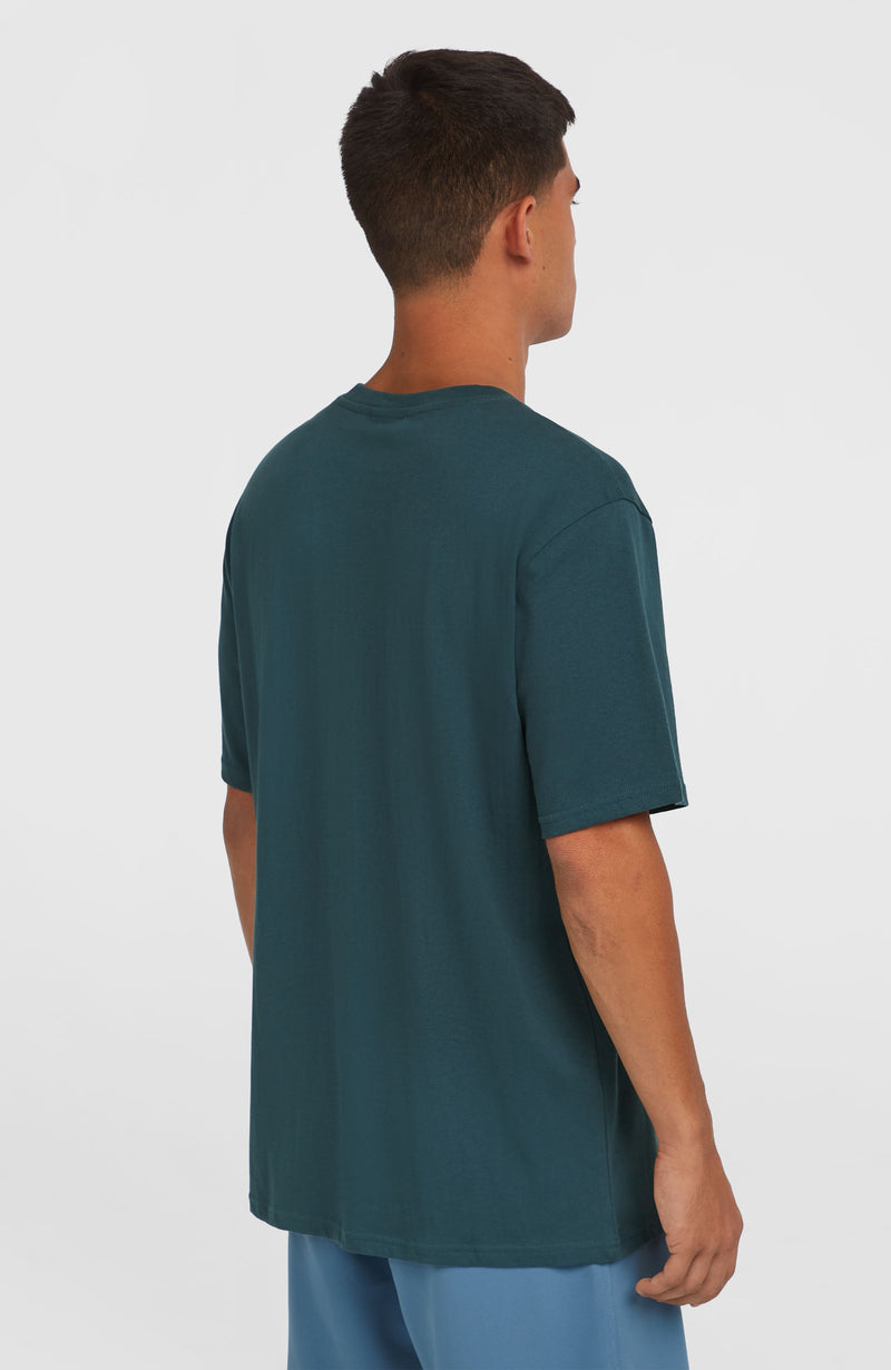 Oneill Men Jack O'Neill Muir T-Shirt | Blue