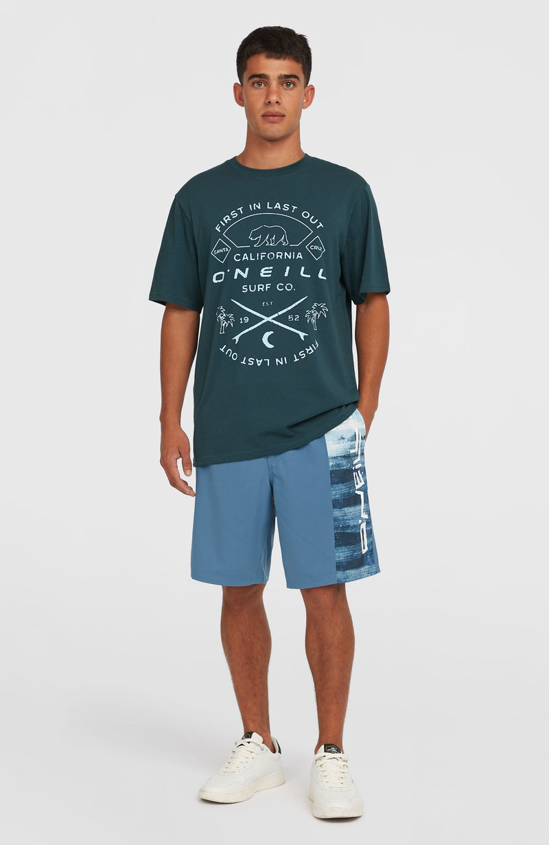 Oneill Men Jack O'Neill Muir T-Shirt | Blue