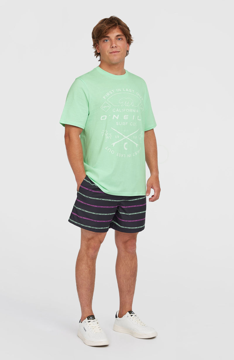 Oneill Men Jack O'Neill Muir T-Shirt | Green