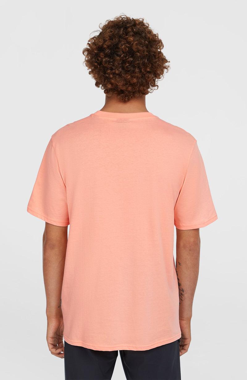 Oneill Men Jack O'Neill Muir T-Shirt | Pink