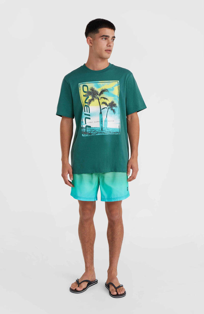 Oneill Men Jack O'Neill Neon T-Shirt | Green