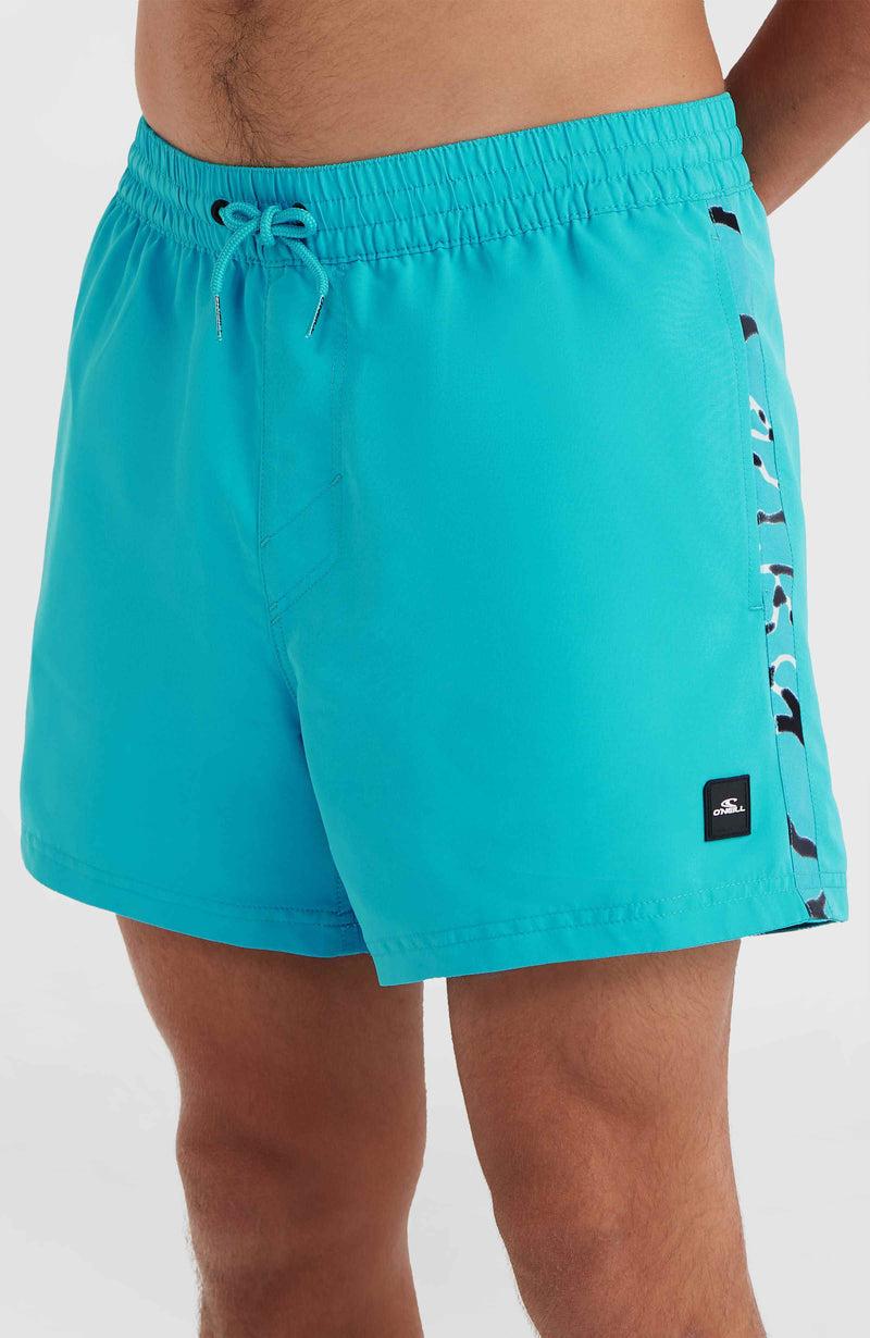 Oneill Men Jack O'Neill Vert 14'' Swim Shorts | Blue