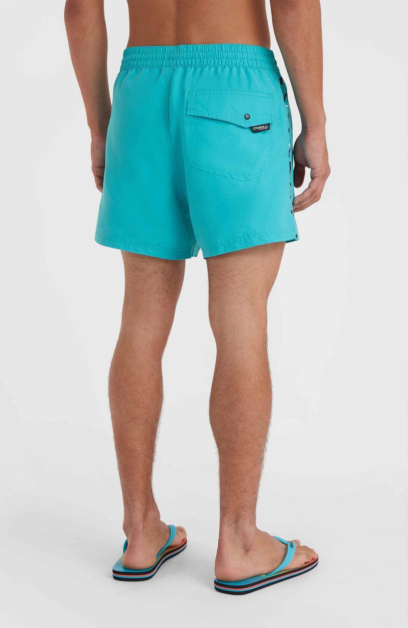 Oneill Men Jack O'Neill Vert 14'' Swim Shorts | Blue