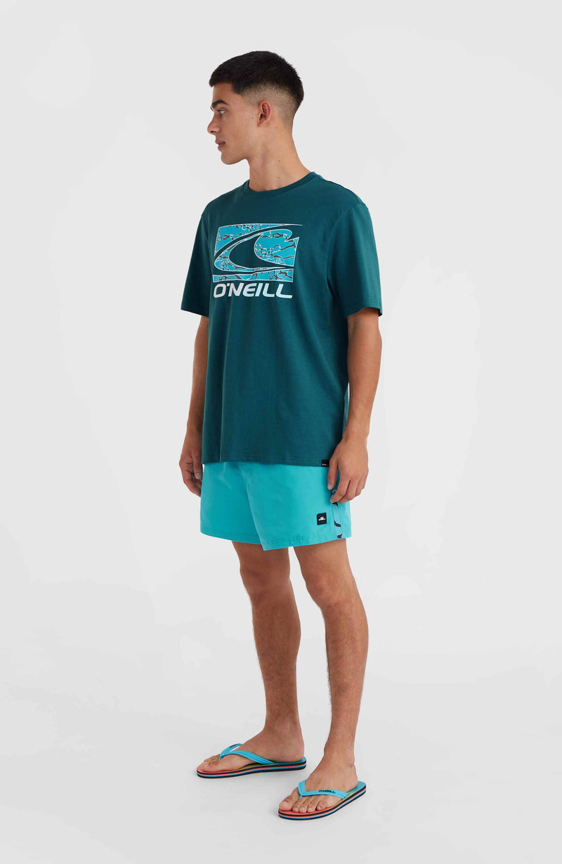 Oneill Men Jack O'Neill Vert 14'' Swim Shorts | Blue
