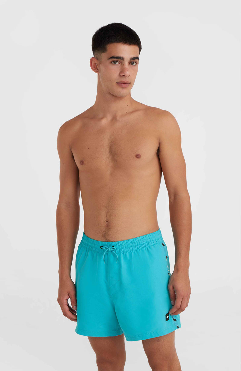 oneill Men Jack O'Neill Vert 14'' Swim Shorts | Blue