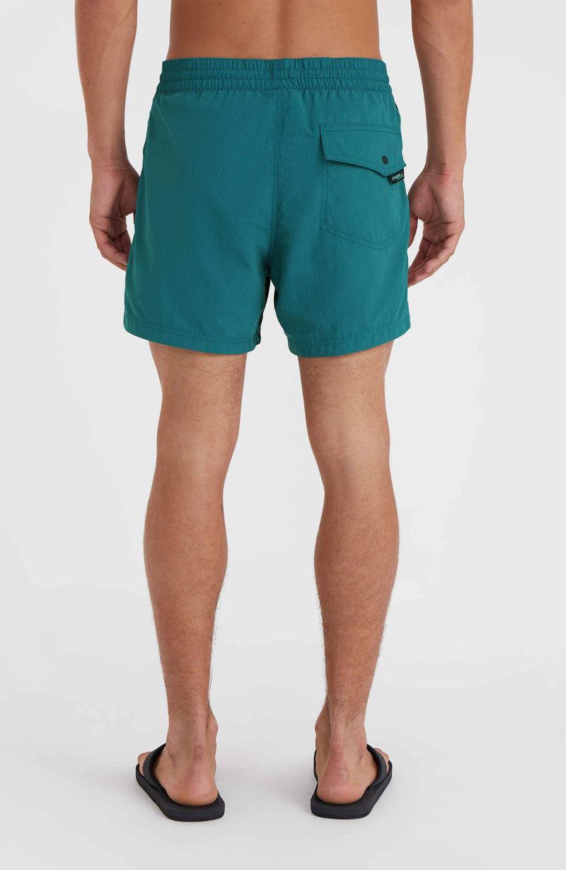 Oneill Men Jack O'Neill Vert 14'' Swim Shorts | Green