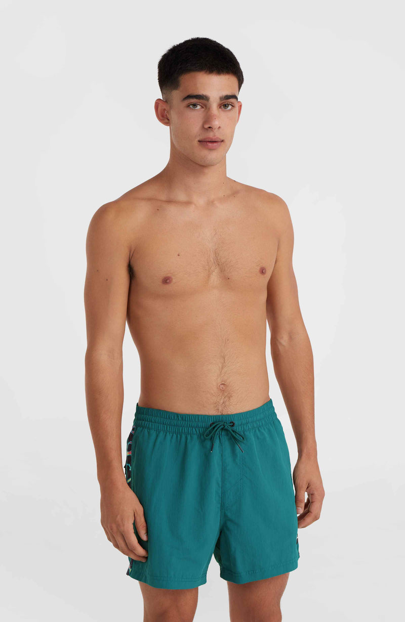 oneill Men Jack O'Neill Vert 14'' Swim Shorts | Green