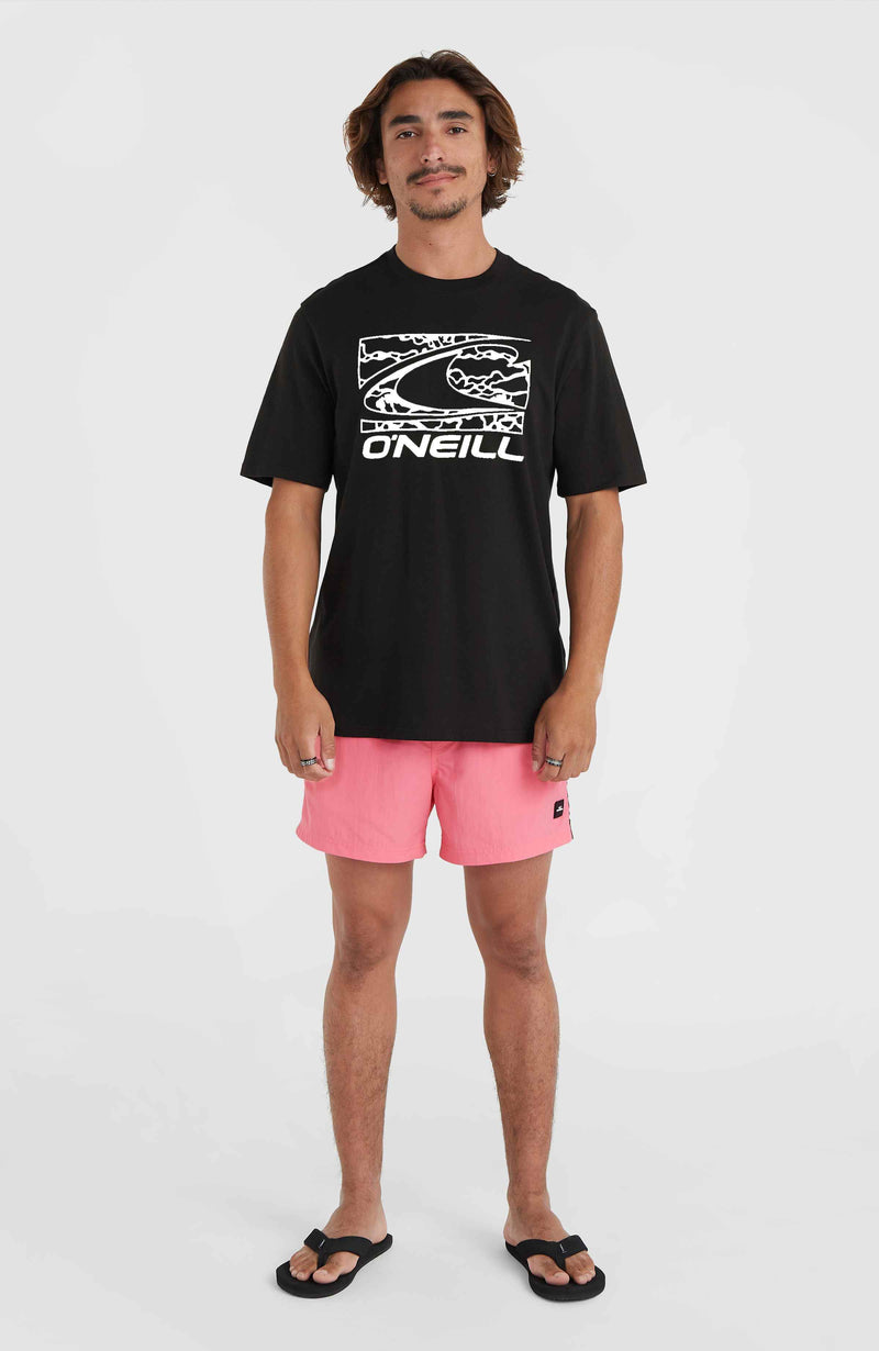 Oneill Men Jack O'Neill Vert 14'' Swim Shorts | Pink