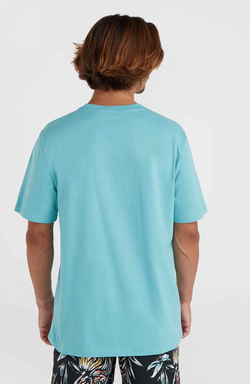 Oneill Men Mix And Match Palm T-Shirt | Blue