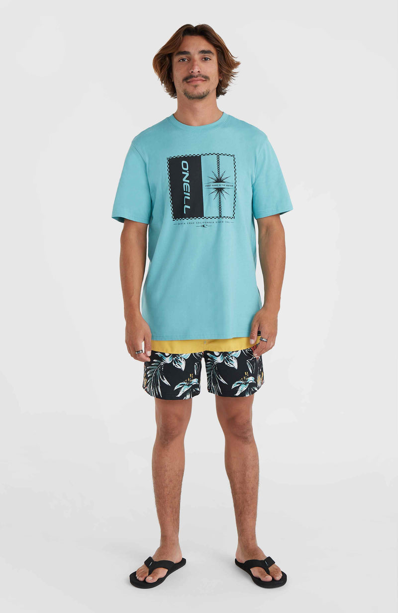Oneill Men Mix And Match Palm T-Shirt | Blue