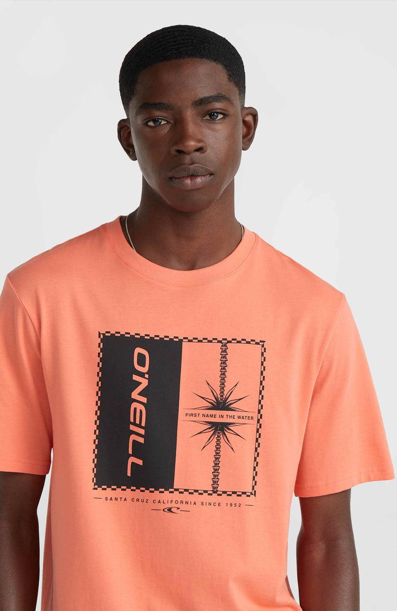 Oneill Men Mix And Match Palm T-Shirt | Orange