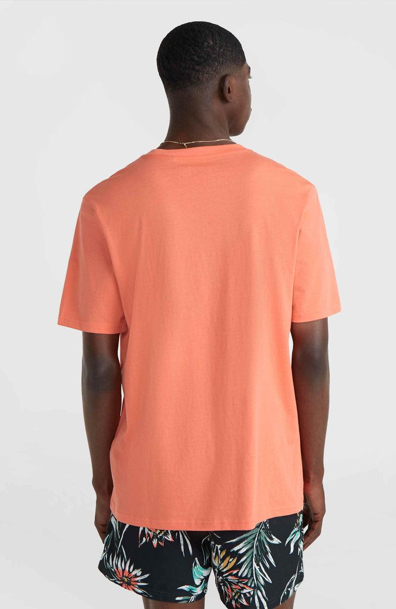 Oneill Men Mix And Match Palm T-Shirt | Orange