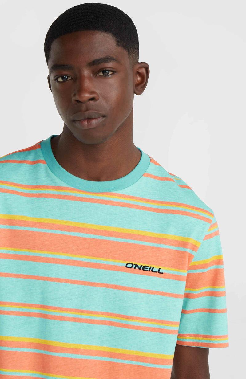 Oneill Men Mix And Match Stripe T-Shirt | Blue