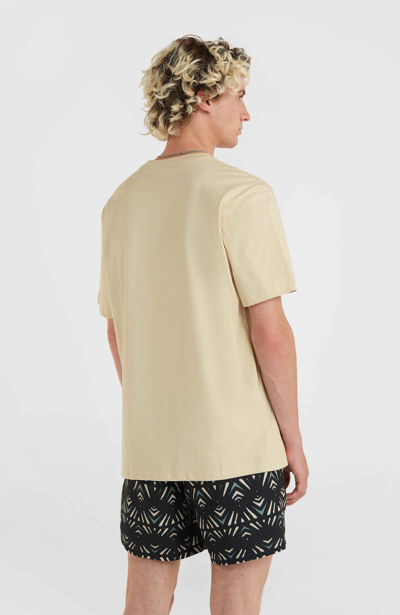 Oneill Men Mix And Match Wave T-Shirt | Beige