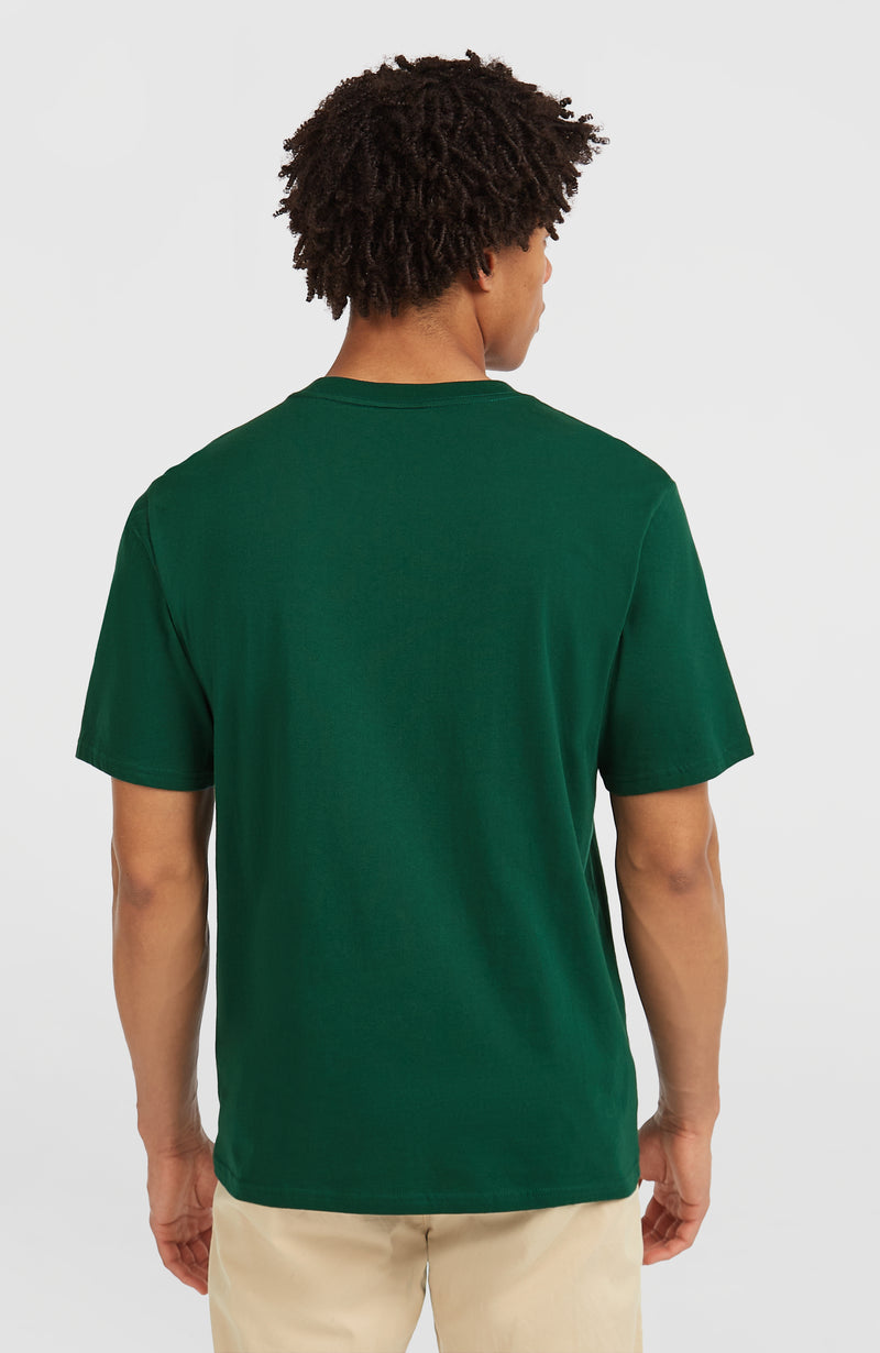Oneill Men Muir T-Shirt | Green