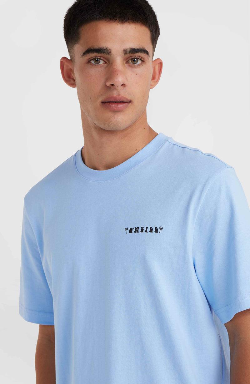 Oneill Men O'Neill Beach Graphic T-Shirt | Blue