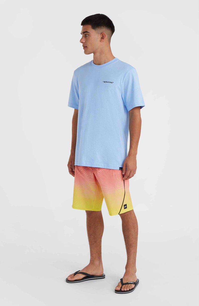 Oneill Men O'Neill Beach Graphic T-Shirt | Blue