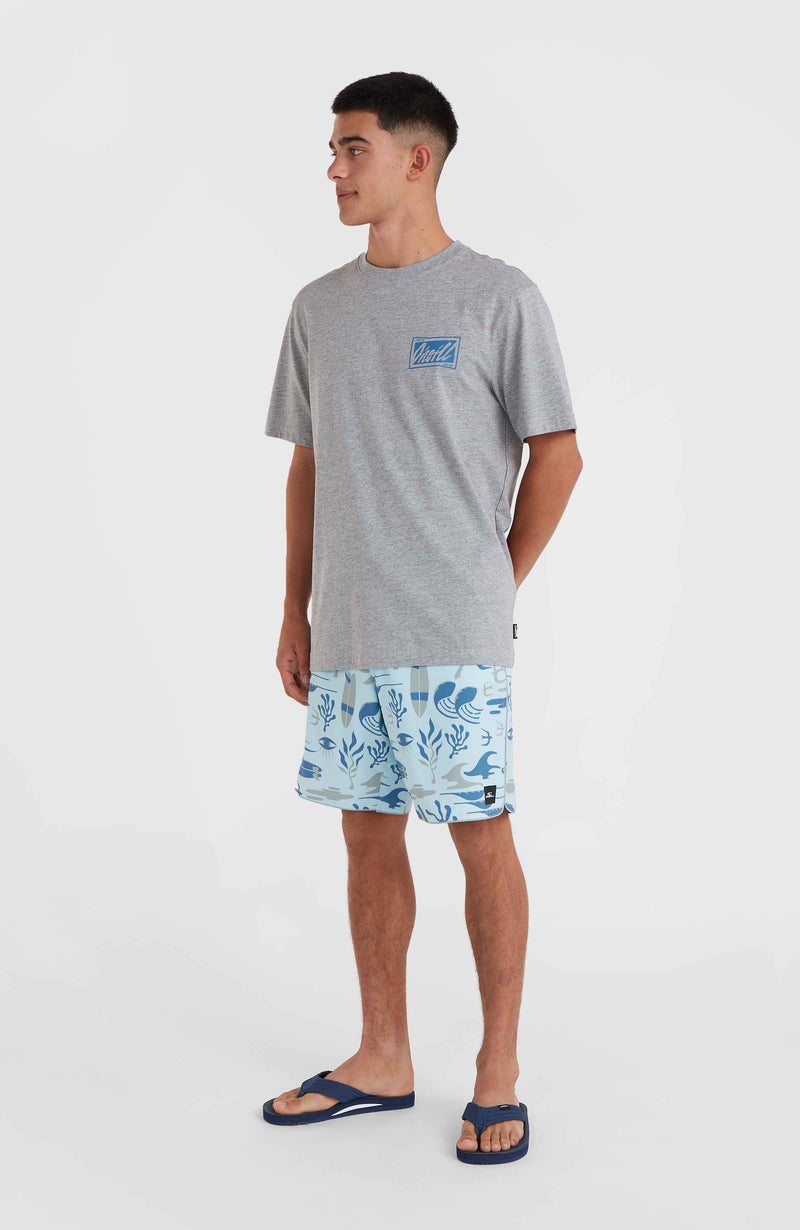 Oneill Men O'Neill Beach Graphic T-Shirt | Grey