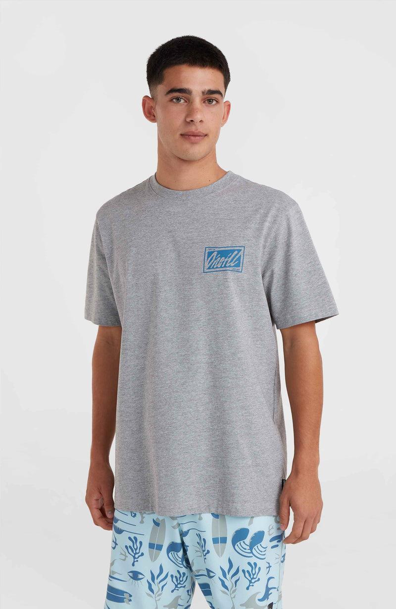 oneill Men O'Neill Beach Graphic T-Shirt | Grey