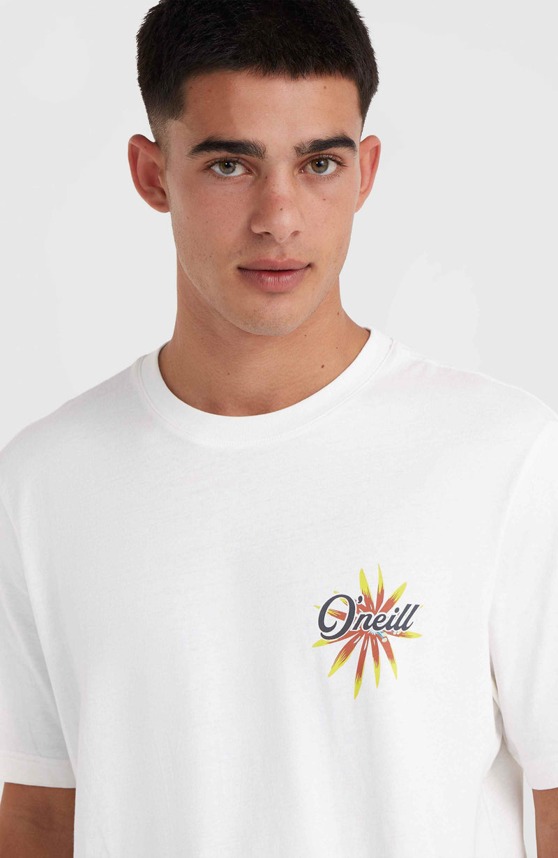 Oneill Men O'Neill Beach Graphic T-Shirt | White