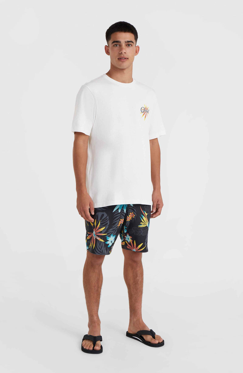 Oneill Men O'Neill Beach Graphic T-Shirt | White